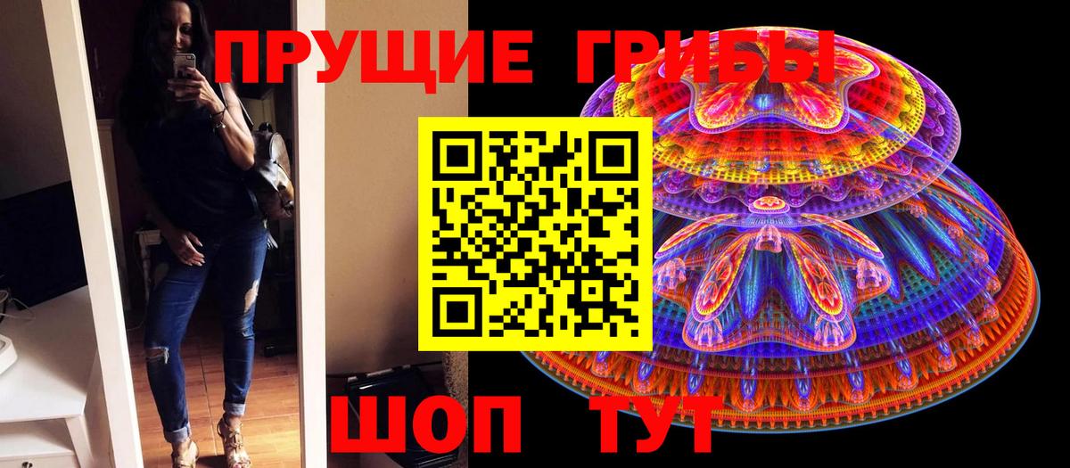 Галлюциногенные грибы Psilocybine cubensis Янаул