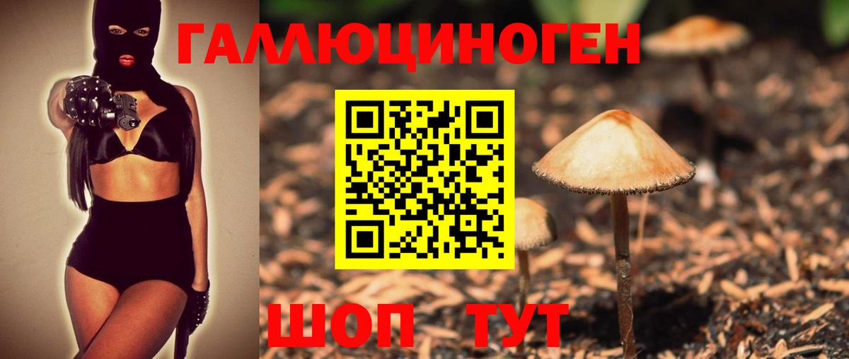 Янаул  Галлюциногенные грибы прущие грибы  Галлюциногенные грибы GOLDEN TEACHER  Вход с VPN 